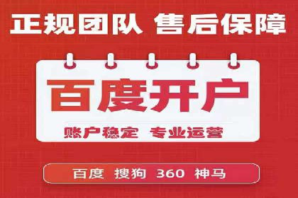 案例研究：竞价广告助力电商行业增长