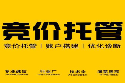 SEM托管服务，实战案例深度剖析